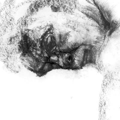 Male model's face resting in pillow